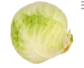 Cabbage