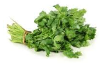 Cilantro 1 bunch