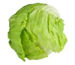 Iceberg Lettuce