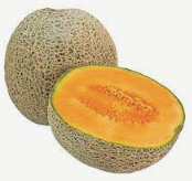 Cantaloupe